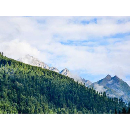 Mediocre Copper Watch fr-FR